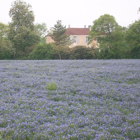 Bed and Breakfast Manoir Angle Blanzay-sur-Boutonne Exterior foto